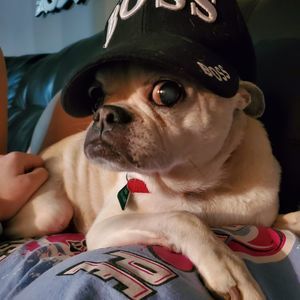 Meet your Posher, Sharon